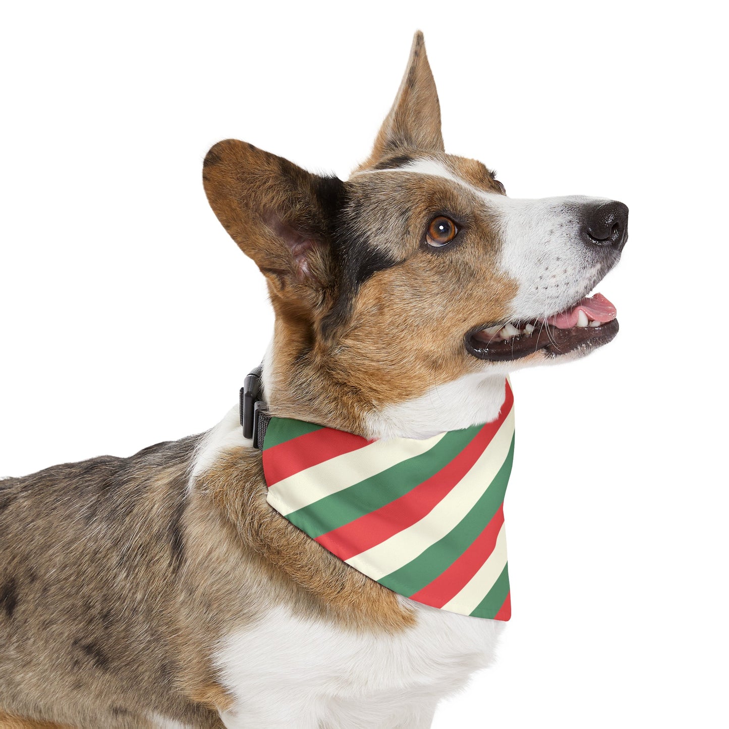 Christmas Stripes Over the Collar Christmas Dog Bandana