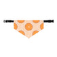 Citrus Over the Collar Spring/Summer Dog Bandana