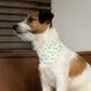 St. Patrick's Day Over the Collar Dog Bandana