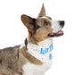 Birthday Boy Over the Collar Dog Bandana