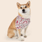 Valentine's Day Over the Collar Dog Bandana