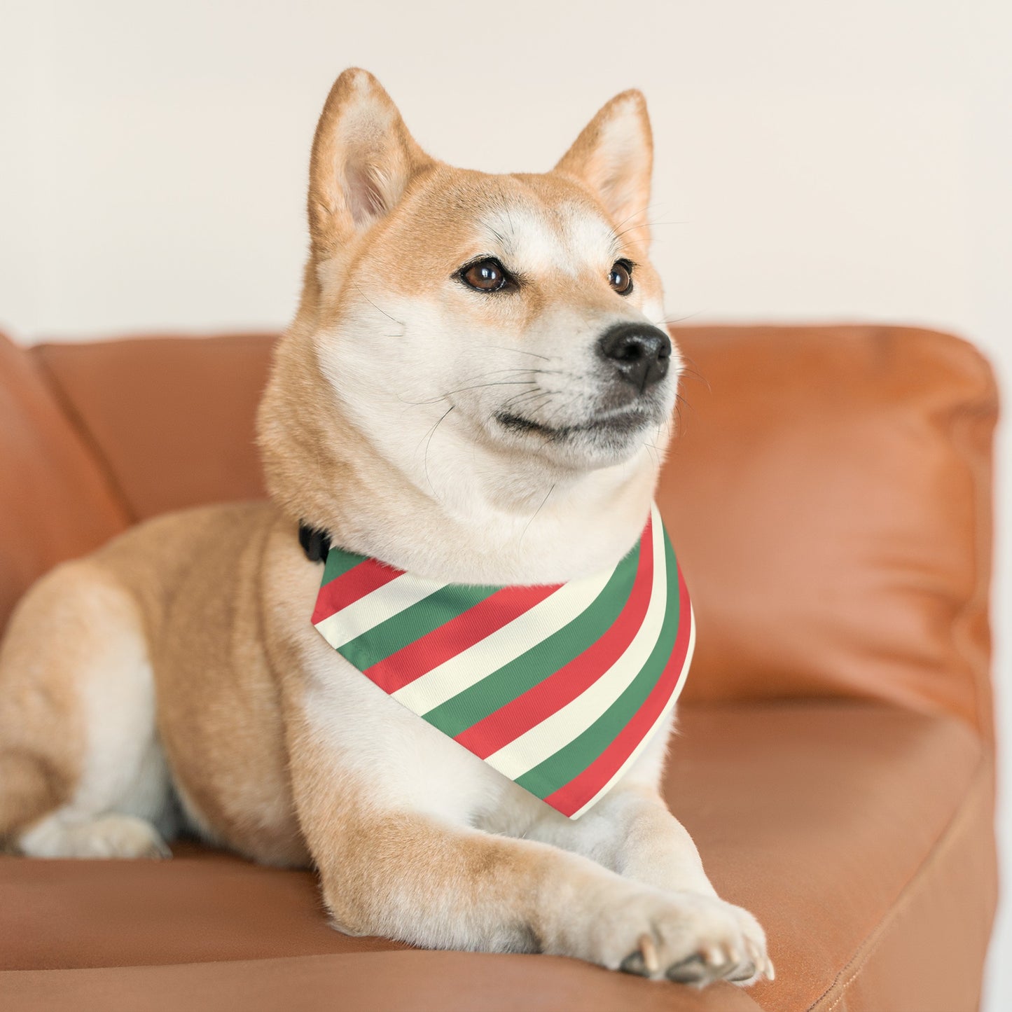 Christmas Stripes Over the Collar Christmas Dog Bandana