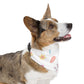 Easter Over the Collar Easter/Spring Dog Bandana