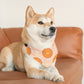 Citrus Over the Collar Spring/Summer Dog Bandana