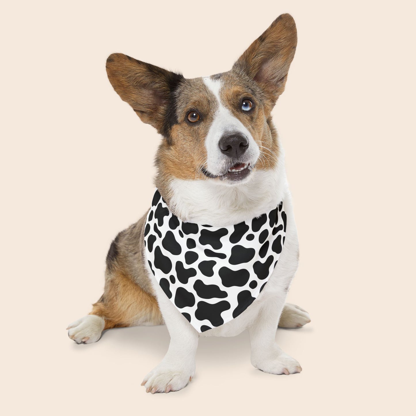 Cow Print Over The Collar Dog Bandana