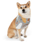 Cute Halloween Over the Collar Dog Bandana