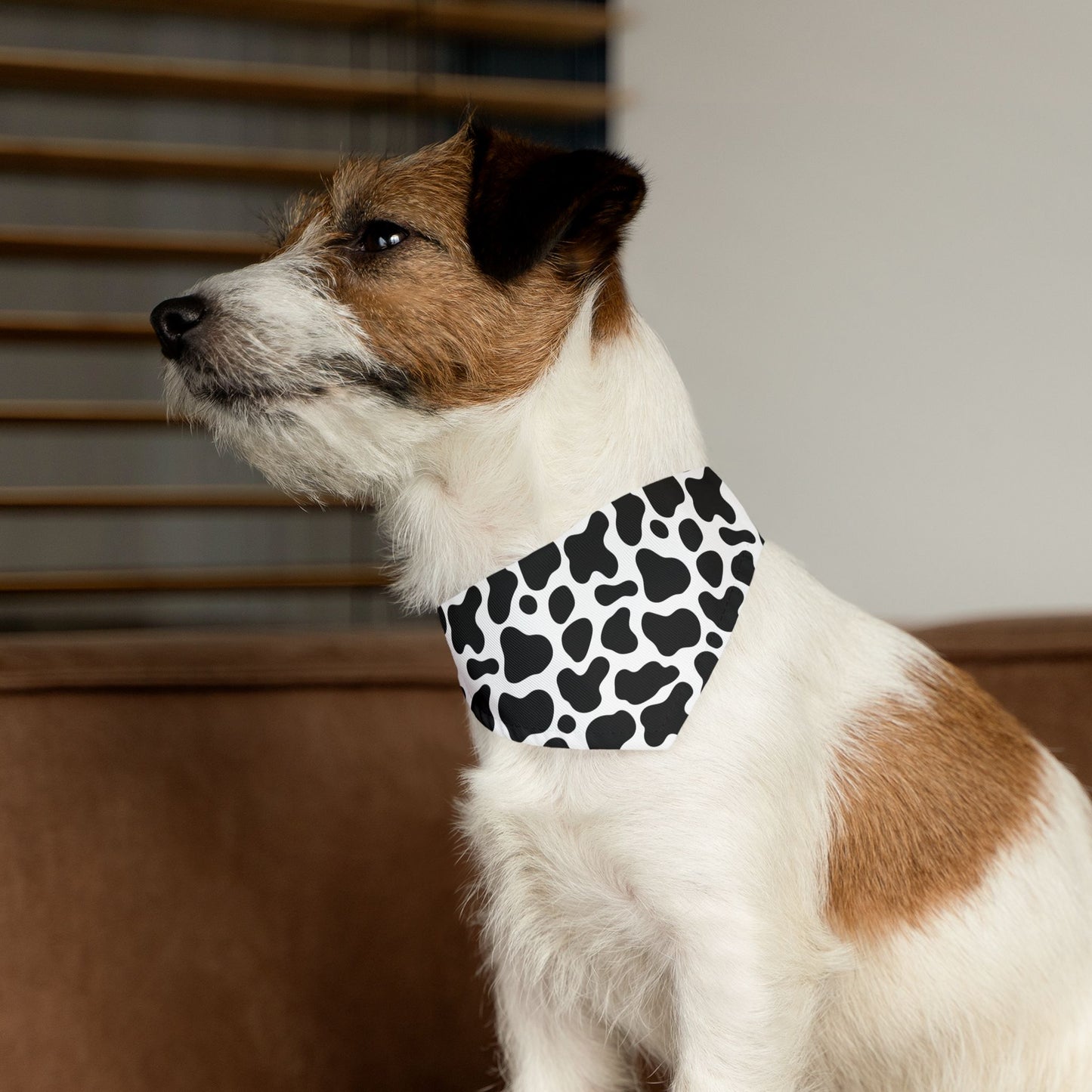 Cow Print Over The Collar Dog Bandana