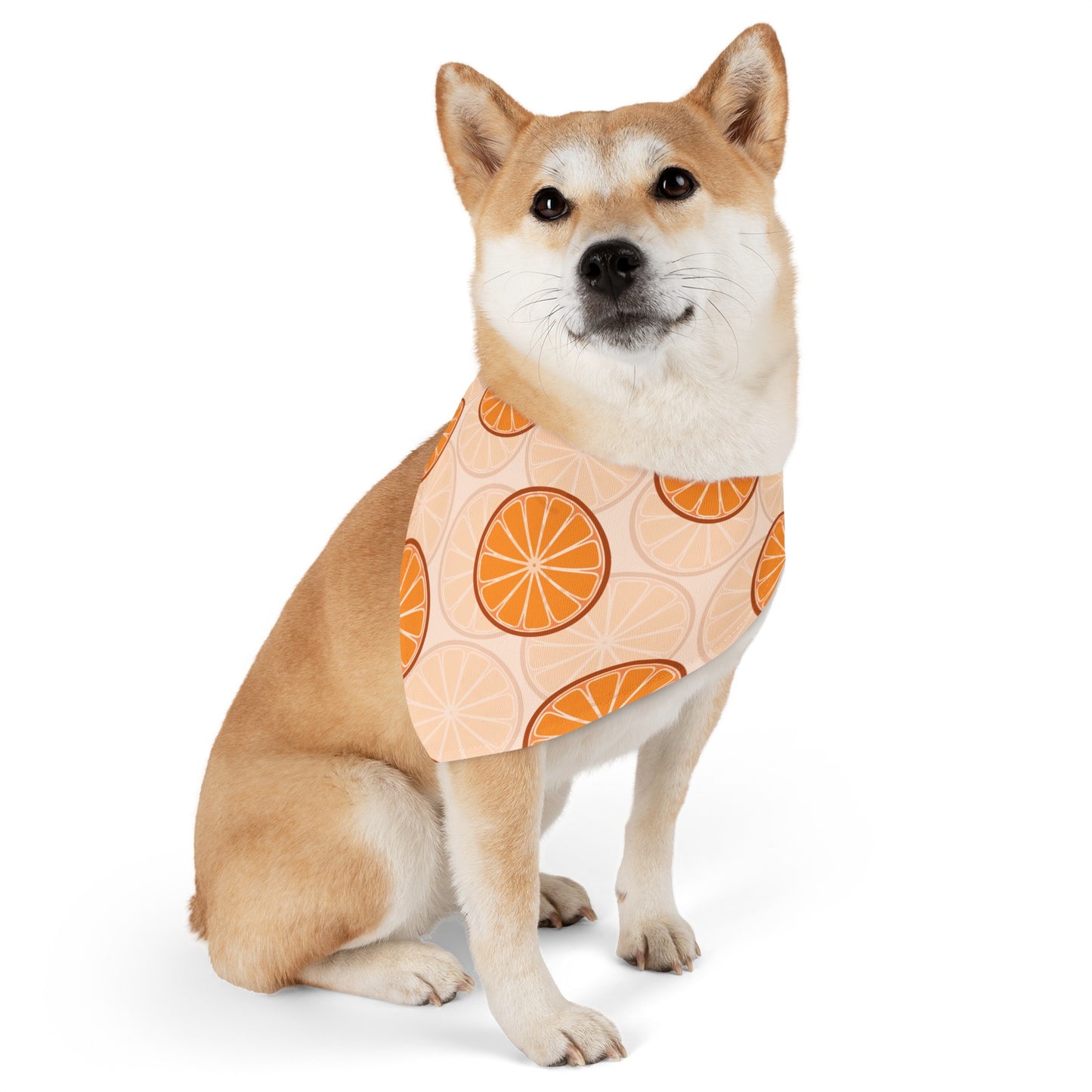 Citrus Over the Collar Spring/Summer Dog Bandana