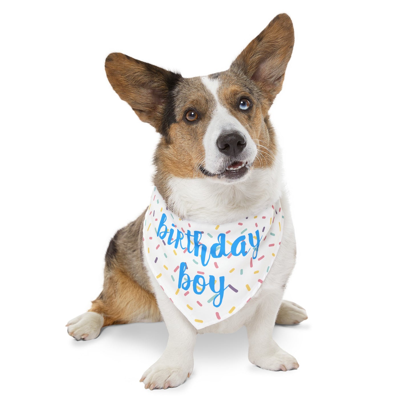 Birthday Boy Over the Collar Dog Bandana