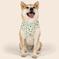 St. Patrick's Day Over the Collar Dog Bandana