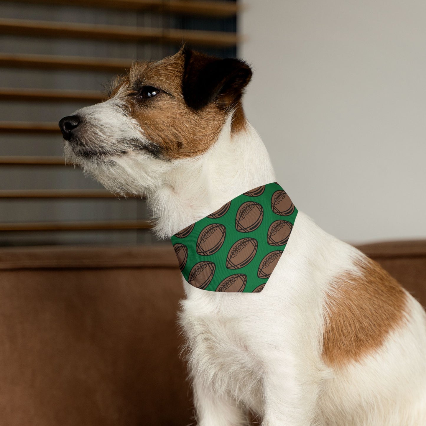 Football Over The Collar Dog Bandana