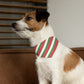 Christmas Stripes Over the Collar Christmas Dog Bandana