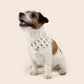 Gingerbread Men Over The Collar Christmas Dog Bandana