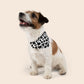 Cow Print Over The Collar Dog Bandana