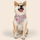 Valentine's Day Over the Collar Dog Bandana