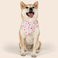 Valentine's Day Over the Collar Dog Bandana