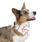 Baseball Over the Collar Dog Bandana