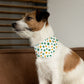 St. Patrick's Day Over the Collar Dog Bandana