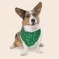 Christmas Over The Collar Dog Bandana