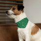 Christmas Over The Collar Dog Bandana