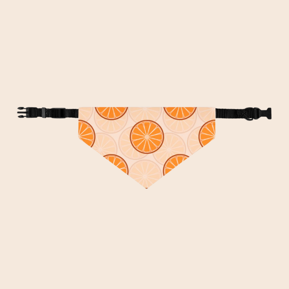 Citrus Over the Collar Spring/Summer Dog Bandana